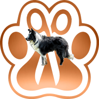 Logo Acciuffa l'Osso