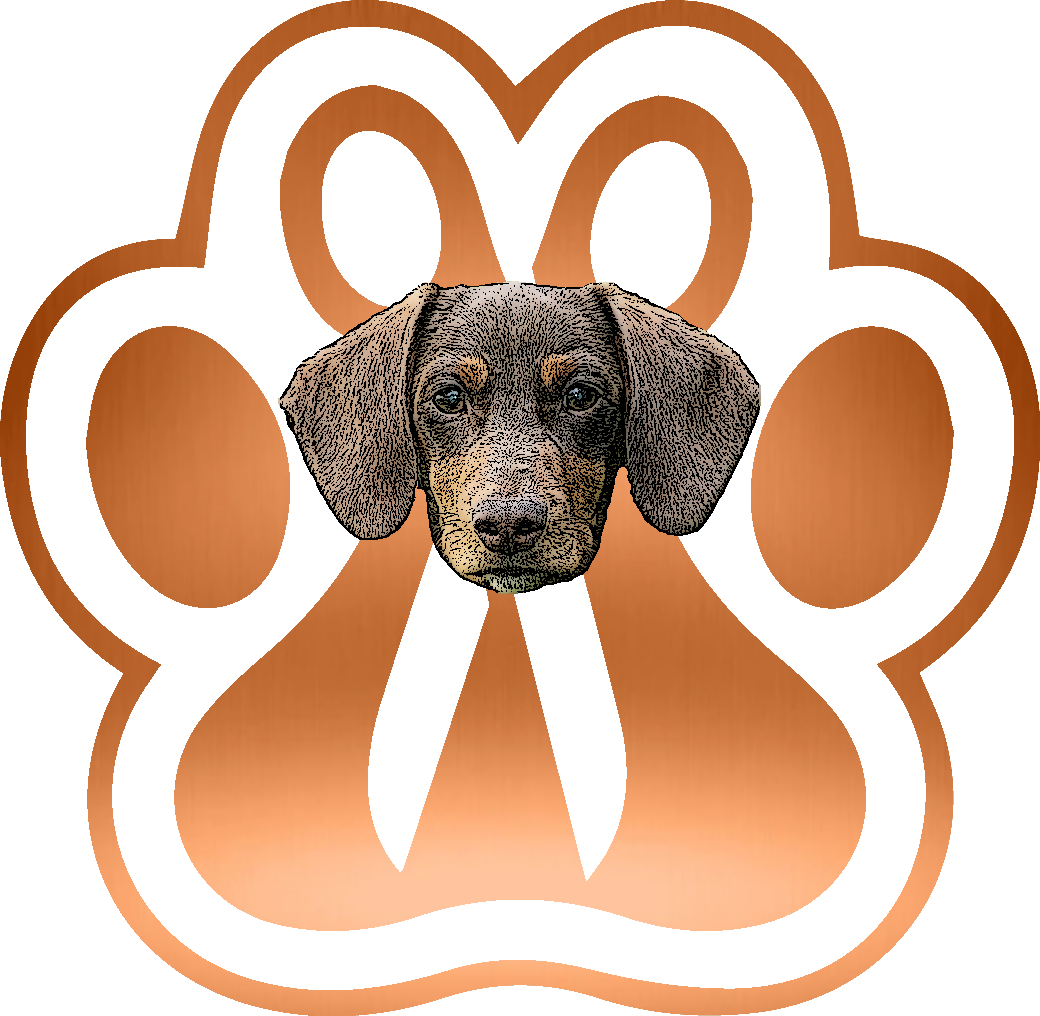 Logo Bassoootto
