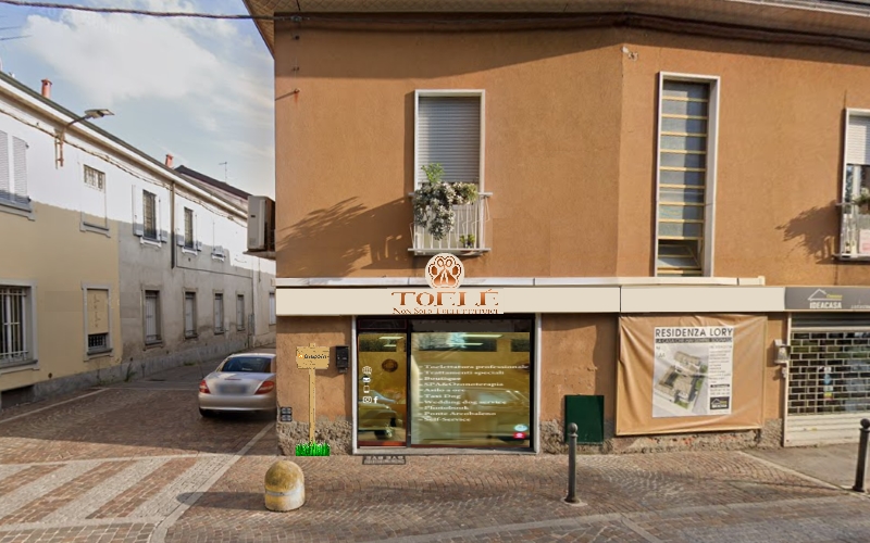 Le Nostre Sedi 2 Toelé Esterno Toelettatura Toelé Cesano Maderno